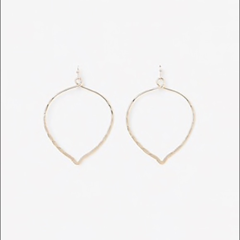 Express Earrings